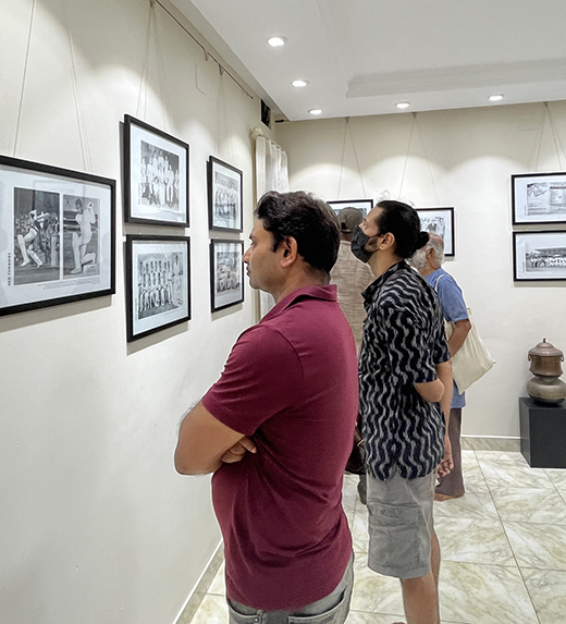 Main news Red Cherries